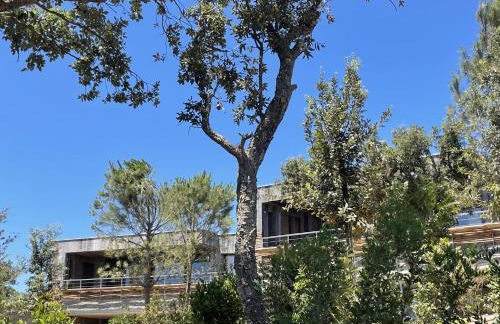 Les Lofts de Sainte-Lucie-de-Porto-Vecchio - Foto 39