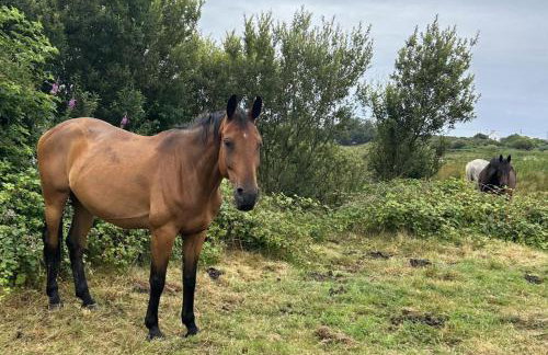 Captivating 2-bed Static Caravan on Private Land - Foto 45