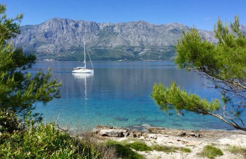 Manora Sucuraj one bedroom apartment - Foto 28