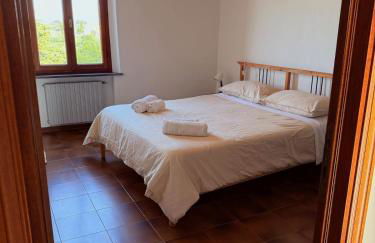 Ciliegia di Lari - Belvedere - Foto 10