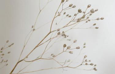 Wohlfühlen & entspannen, durchatmen - Foto 18