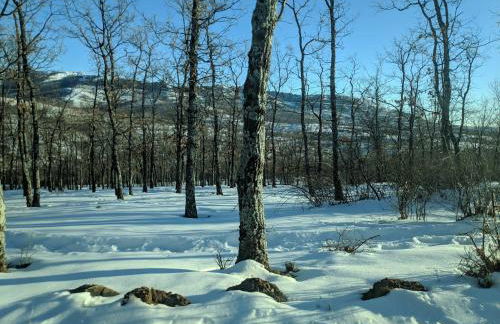 Casa Rural Fuente del Arca Montejo - Foto 23