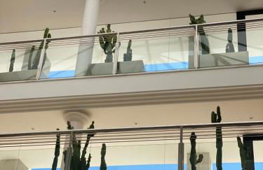 Aparthotel Isla de Cabrera - Foto 49