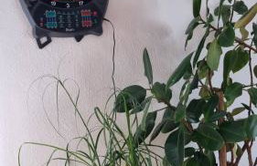 Apartman Bosco - Foto 22