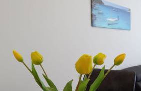 Lux apartman Antonija - Foto 11