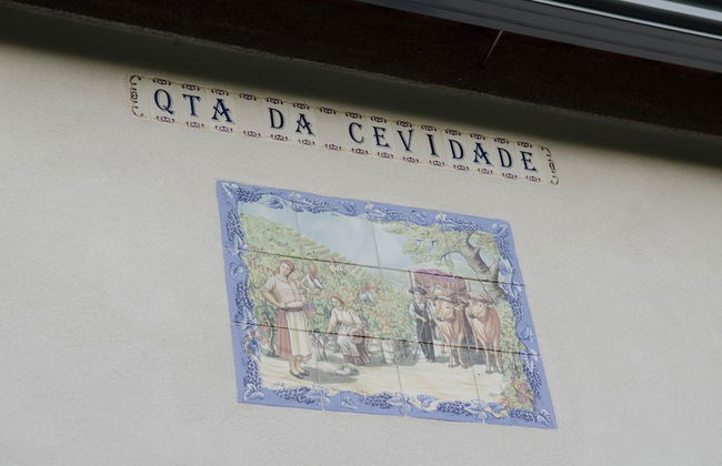 Casa da Cevidade - Foto 51