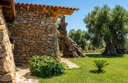 Agriturismo Tenuta La Siesta - Foto 35