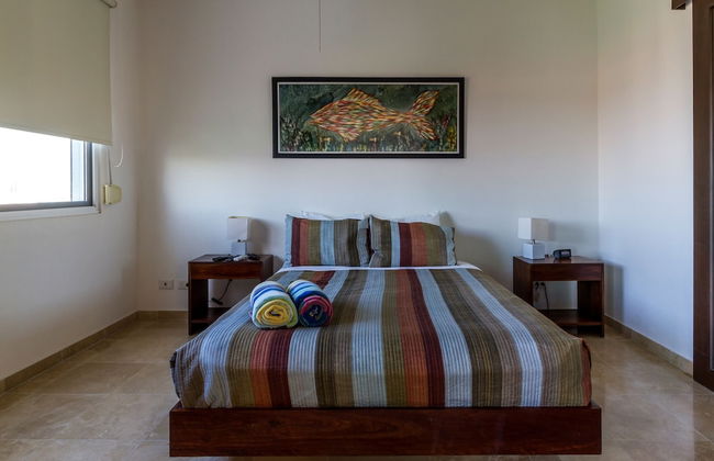 La Papaya Plus 303 by Vimex - Foto 3