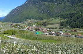 Cevedale-Valdisole - Foto 20