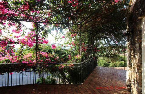 Agriturismo Zio Cristoforo - Foto 24