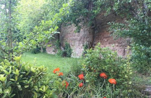 Swinton Manse & Gardens - Foto 14