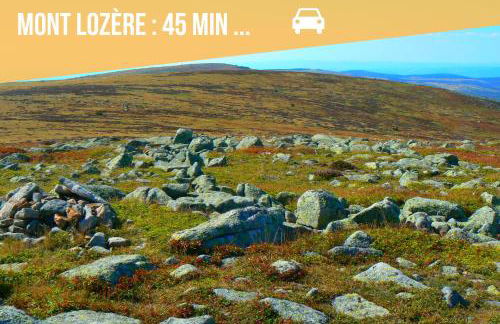 Le Bohème - Spa/Netflix/Wifi Fibre - Séjour Lozère - Foto 27