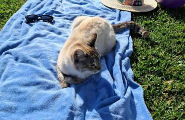 Sol Lua Apt - Foto 26