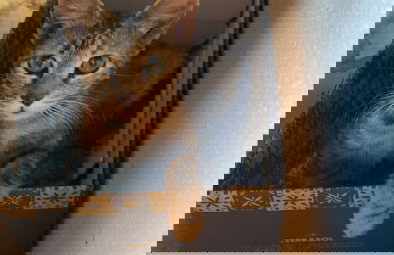 Agriturismo Il Melograno - Foto 39