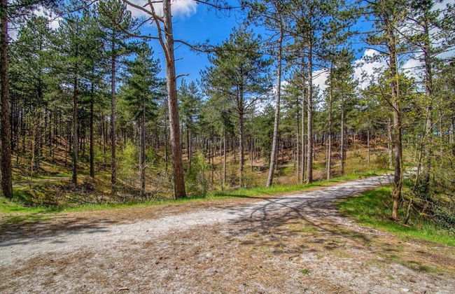 Holiday Home in Schoorl Near Sandy Beaches - Foto 32