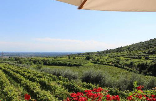 Corte Spinosa - Foto 8