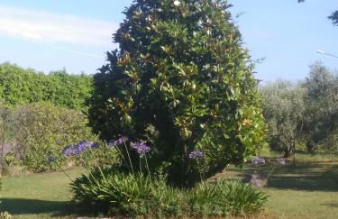 Casa Vacanze Le Rose - Foto 14