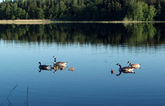 Holiday Home in Väddö - Photo 19