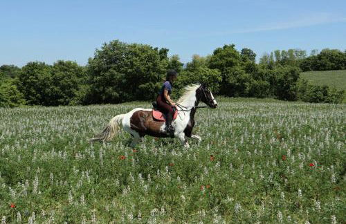 Castello di Santa Cristina - Foto 45