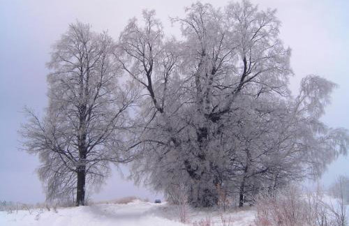 Michałówka Michaelhof - Foto 23