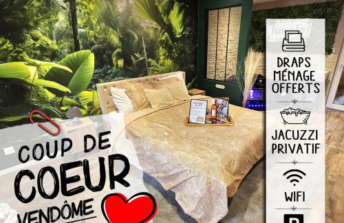 Appartement Chambre Cosy - Jacuzzi - Little Room Vendôme - Foto 19