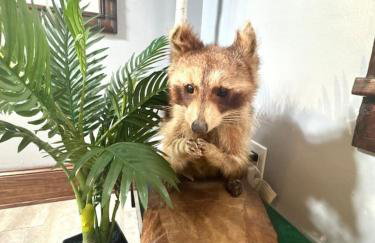 Near Downtown, Tremont, Ohio City, and central! - Foto 12