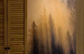 Sosnowy Strumyk - Foto 25