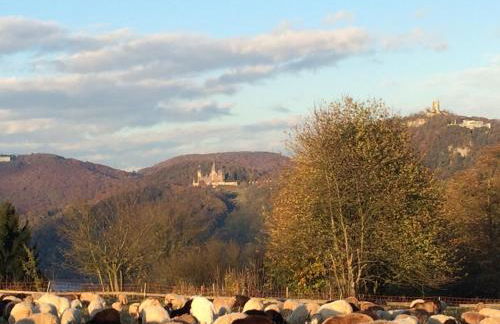 Appartement Rosengarten - Foto 20