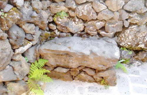 House with sea view in Santo Amaro, 212 sq m, terrace - Photo 17