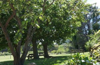 Mas Roquet - Foto 18