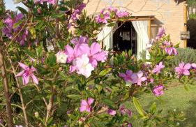 Bangalô Sonho na Serra - Foto 51