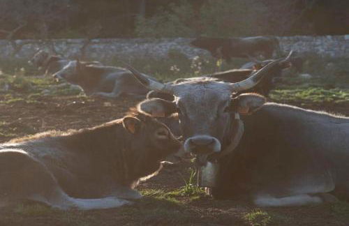 DONNAPAOLA MODERN FARM - Foto 58