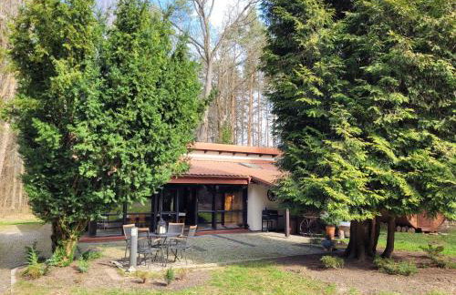 Leśne Zacisze - Foto 9