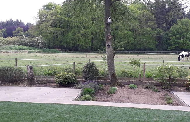 Glass Veranda Chalet in Nature - Foto 25