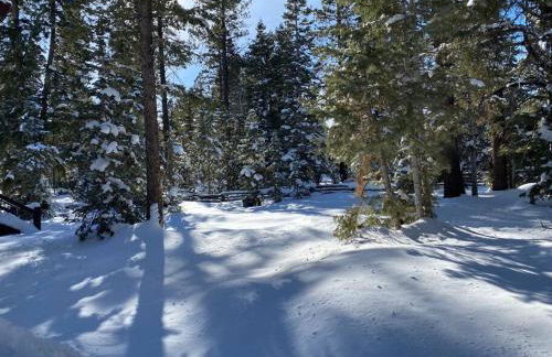 One of a Kind Cabin, Covered Deck, Spa, and Games - Foto 21