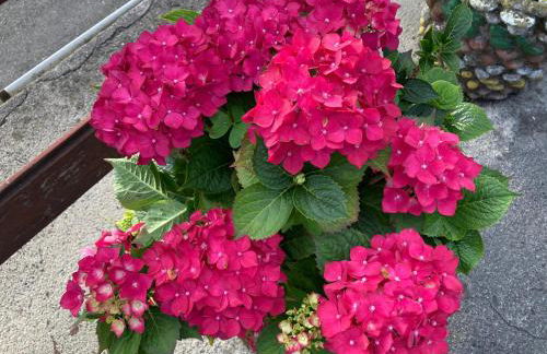 La Casa de la Carpintería - Foto 17