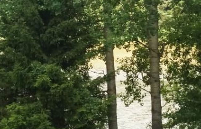 Hurran ranta - Foto 3