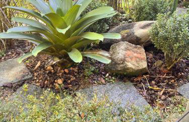 A casa azul - Foto 29