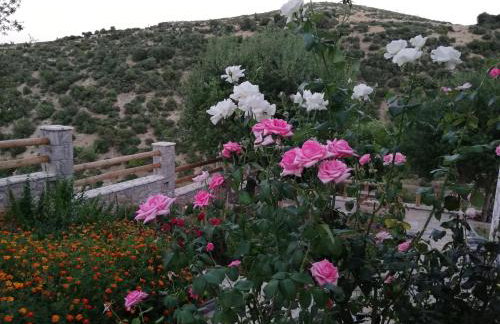 Villa Agno - Βίλα Αγνώ - Foto 23