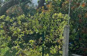 LaValeHouse - Foto 60