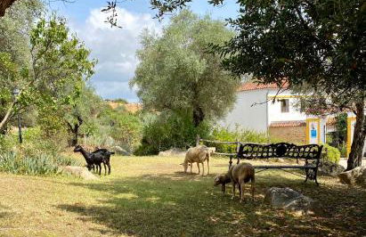 El Molino de La Quinta - Photo 10