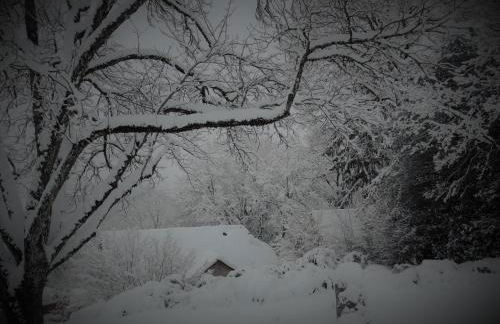 Domaine des Marequiers le Gite Aigremoine - Foto 5
