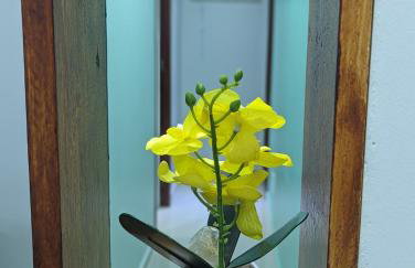 Bernardini House - Foto 28