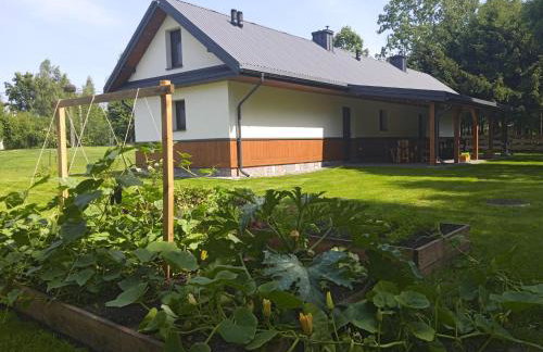 Siedlisko Czarny Dzięcioł - Foto 13