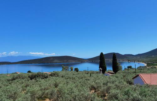 Elaion Thea2-Nies - Foto 17