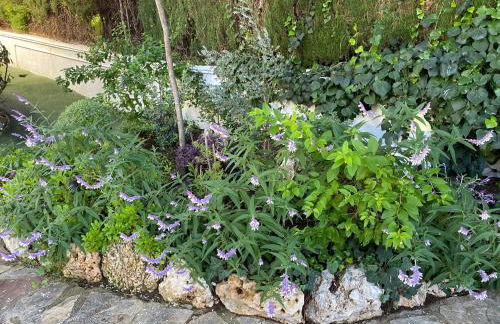 Casa acogedora familiar en la montaña - Foto 6