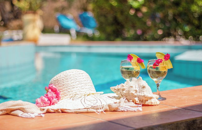 Olive Farm - Foto 44