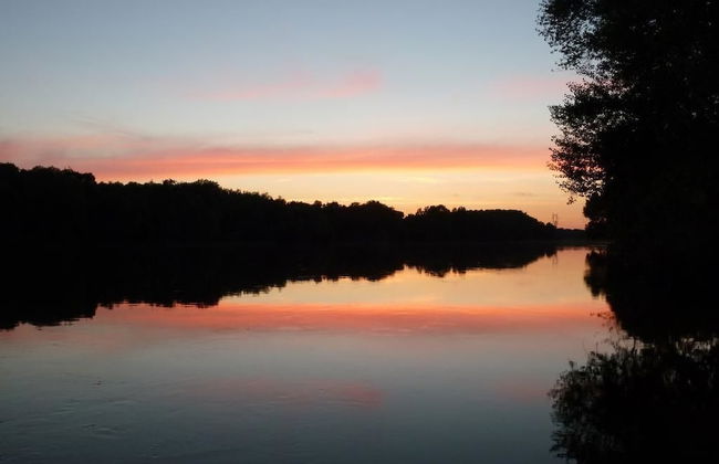 La Fauvette - Foto 11