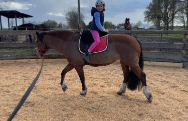 Familienurlaub mit Hund, Wellness & Bauernhoferlebnis im Münsterland - Photo 43