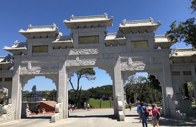 Terra Luso - Foto 58